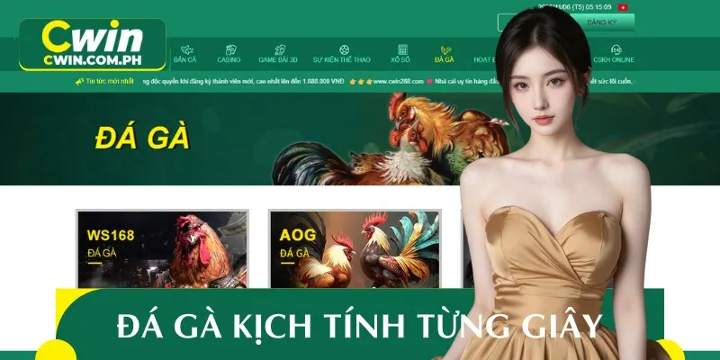 Sảnh đá gà tại đây luôn đem đến những giây phút gay cấn