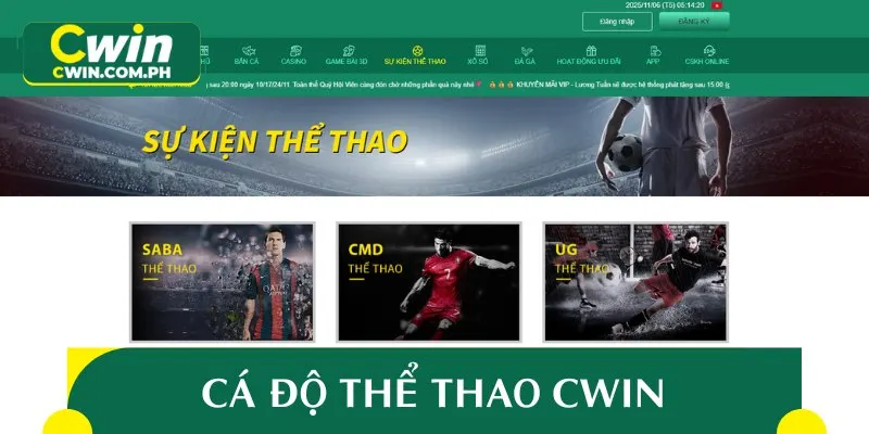 Thể thao luôn là sảnh cược có số lượng truy cập đông đảo