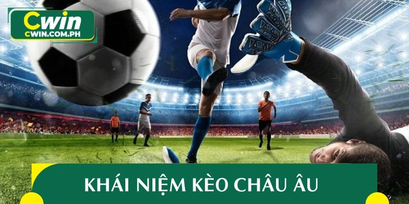 Khái quát sơ lược về tỷ lệ châu Âu nổi bật