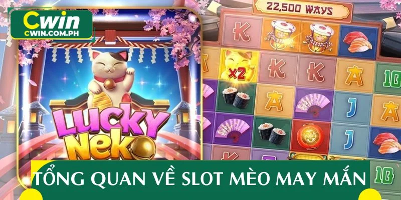 Tổng quan về hình thức slot mèo may mắn