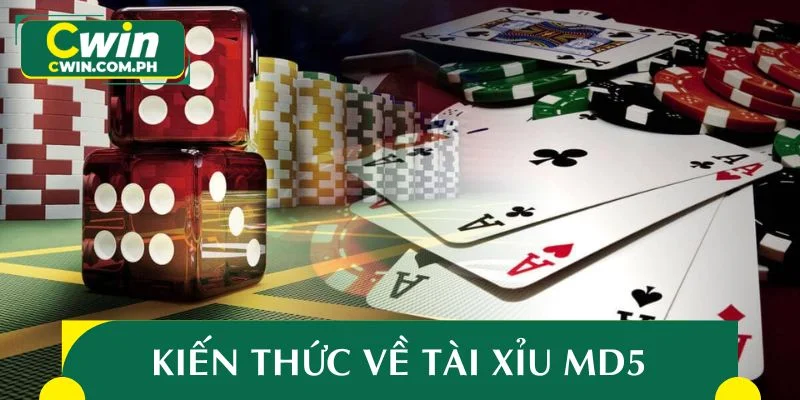 Kiến thức nền tảng bạn cần biết về tài xỉu MD5